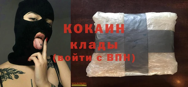 амф Горняк