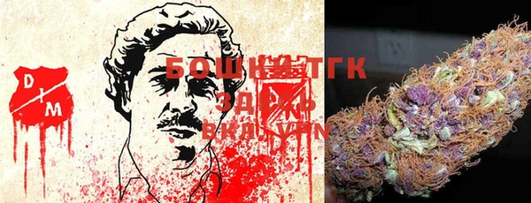 амф Горняк