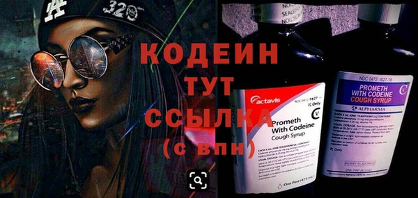 амф Горняк