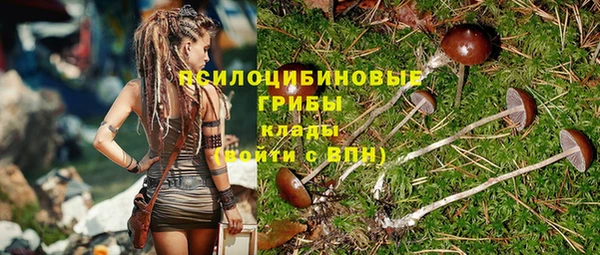амф Горняк