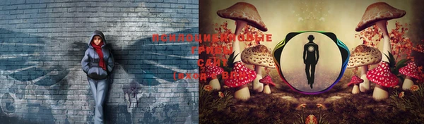 мяу мяу кристалл Горно-Алтайск